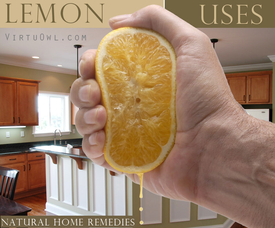 Lemon Uses Page